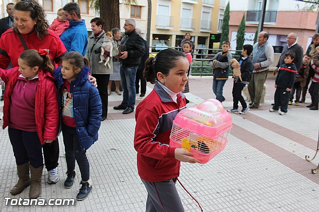 Los animales recibieron la bendicin en el da de su patrn, San Antn Abad - 2014 - 114
