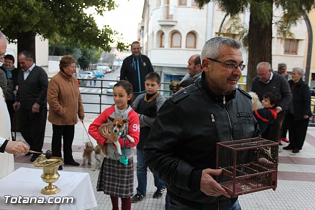 Los animales recibieron la bendicin en el da de su patrn, San Antn Abad - 2014 - 118