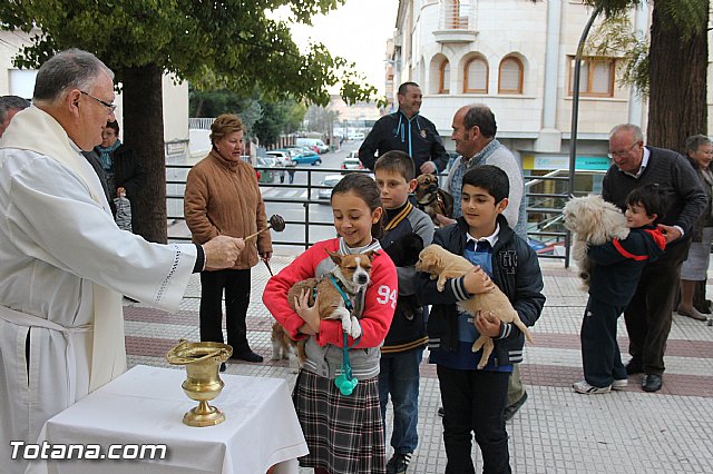 Los animales recibieron la bendicin en el da de su patrn, San Antn Abad - 2014 - 119