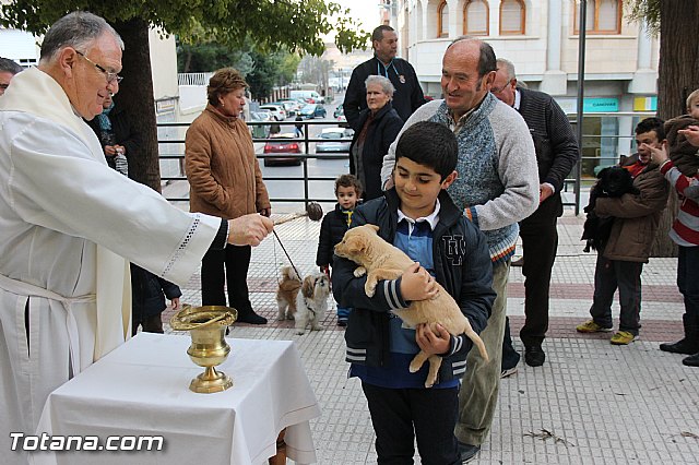 Los animales recibieron la bendicin en el da de su patrn, San Antn Abad - 2014 - 121