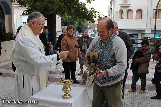 Los animales recibieron la bendicin en el da de su patrn, San Antn Abad - 2014 - 122