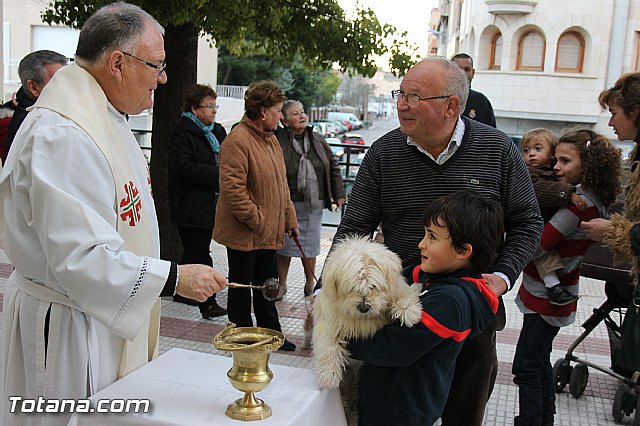 Los animales recibieron la bendicin en el da de su patrn, San Antn Abad - 2014 - 123