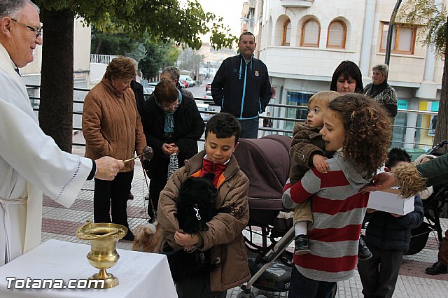 Los animales recibieron la bendicin en el da de su patrn, San Antn Abad - 2014 - 124