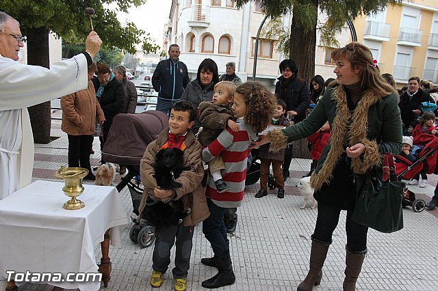 Los animales recibieron la bendicin en el da de su patrn, San Antn Abad - 2014 - 125
