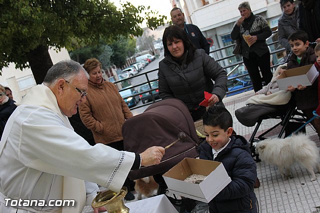 Los animales recibieron la bendicin en el da de su patrn, San Antn Abad - 2014 - 126