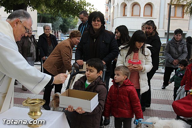 Los animales recibieron la bendicin en el da de su patrn, San Antn Abad - 2014 - 127