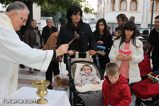 Los animales recibieron la bendicin en el da de su patrn, San Antn Abad - 2014 - 128