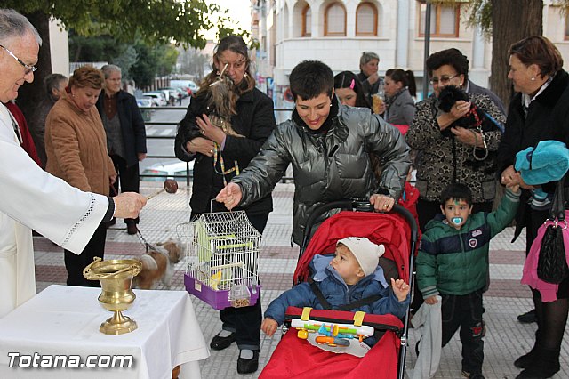 Los animales recibieron la bendicin en el da de su patrn, San Antn Abad - 2014 - 131