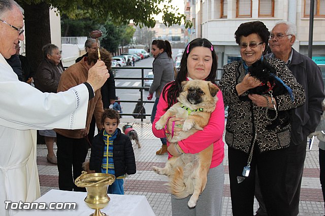 Los animales recibieron la bendicin en el da de su patrn, San Antn Abad - 2014 - 132