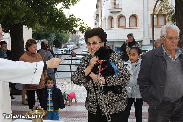 Los animales recibieron la bendicin en el da de su patrn, San Antn Abad - 2014 - 133
