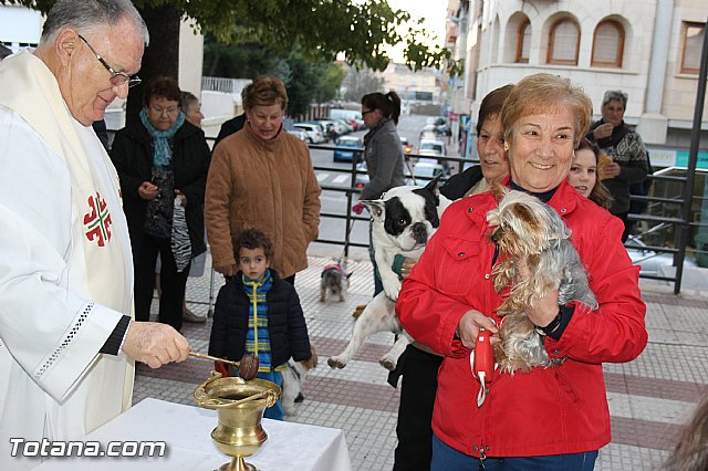 Los animales recibieron la bendicin en el da de su patrn, San Antn Abad - 2014 - 135