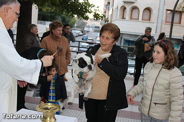 Los animales recibieron la bendicin en el da de su patrn, San Antn Abad - 2014 - 136
