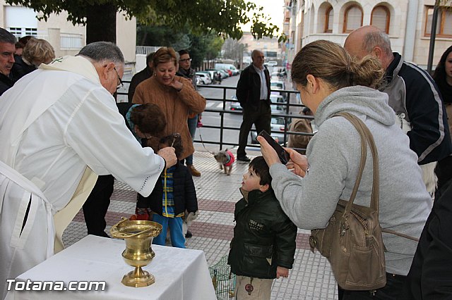 Los animales recibieron la bendicin en el da de su patrn, San Antn Abad - 2014 - 137