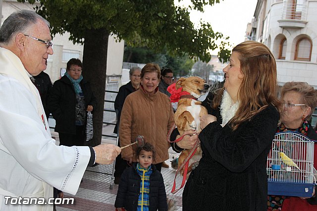 Los animales recibieron la bendicin en el da de su patrn, San Antn Abad - 2014 - 140