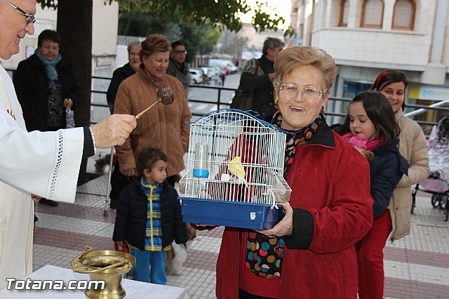 Los animales recibieron la bendicin en el da de su patrn, San Antn Abad - 2014 - 141