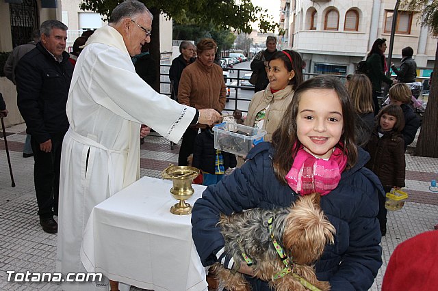 Los animales recibieron la bendicin en el da de su patrn, San Antn Abad - 2014 - 142