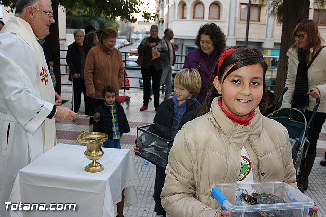 Los animales recibieron la bendicin en el da de su patrn, San Antn Abad - 2014 - 144