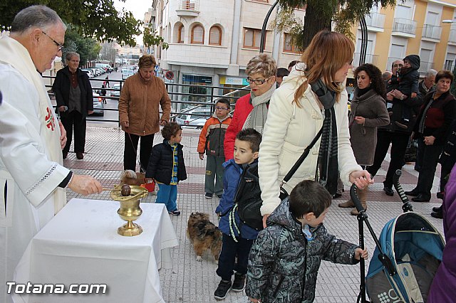 Los animales recibieron la bendicin en el da de su patrn, San Antn Abad - 2014 - 148