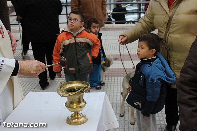 Los animales recibieron la bendicin en el da de su patrn, San Antn Abad - 2014 - 150