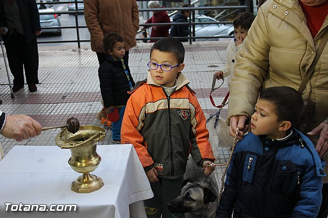 Los animales recibieron la bendicin en el da de su patrn, San Antn Abad - 2014 - 151