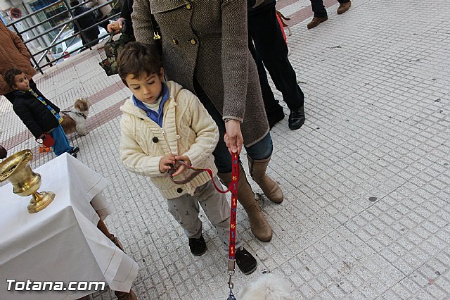 Los animales recibieron la bendicin en el da de su patrn, San Antn Abad - 2014 - 153