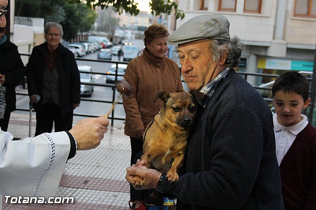 Los animales recibieron la bendicin en el da de su patrn, San Antn Abad - 2014 - 156