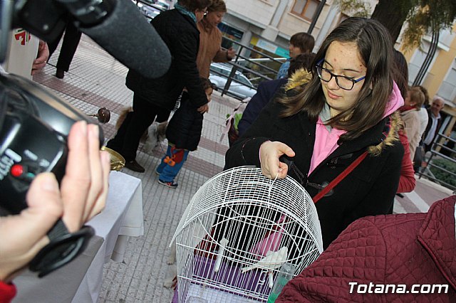 Los animales recibieron la bendicin en el da de su patrn, San Antn Abad - 2014 - 157