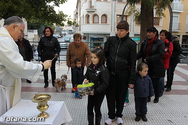 Los animales recibieron la bendicin en el da de su patrn, San Antn Abad - 2014 - 164