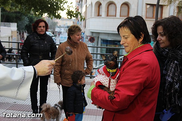 Los animales recibieron la bendicin en el da de su patrn, San Antn Abad - 2014 - 166