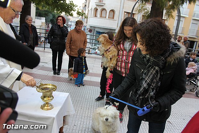 Los animales recibieron la bendicin en el da de su patrn, San Antn Abad - 2014 - 167
