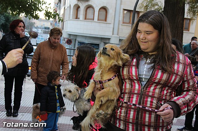 Los animales recibieron la bendicin en el da de su patrn, San Antn Abad - 2014 - 168