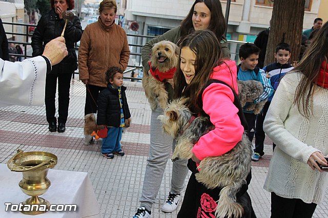 Los animales recibieron la bendicin en el da de su patrn, San Antn Abad - 2014 - 169