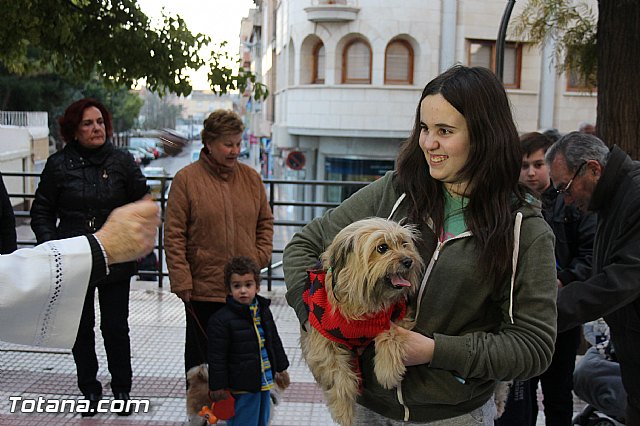 Los animales recibieron la bendicin en el da de su patrn, San Antn Abad - 2014 - 170