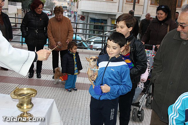 Los animales recibieron la bendicin en el da de su patrn, San Antn Abad - 2014 - 171