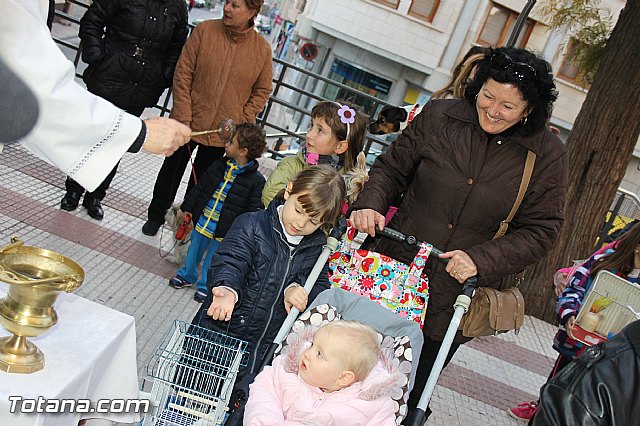 Los animales recibieron la bendicin en el da de su patrn, San Antn Abad - 2014 - 173