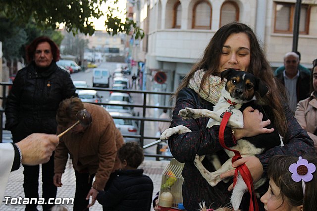 Los animales recibieron la bendicin en el da de su patrn, San Antn Abad - 2014 - 175