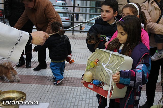 Los animales recibieron la bendicin en el da de su patrn, San Antn Abad - 2014 - 176