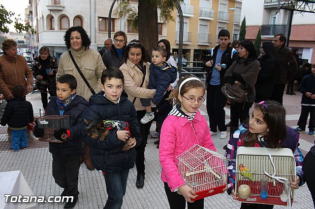 Los animales recibieron la bendicin en el da de su patrn, San Antn Abad - 2014 - 178