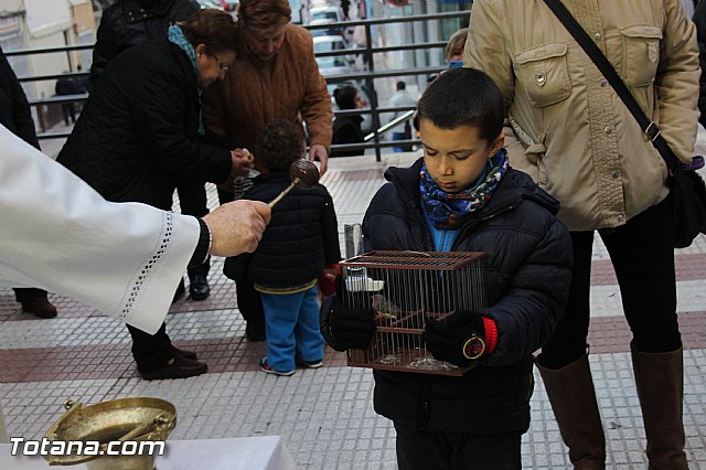 Los animales recibieron la bendicin en el da de su patrn, San Antn Abad - 2014 - 179