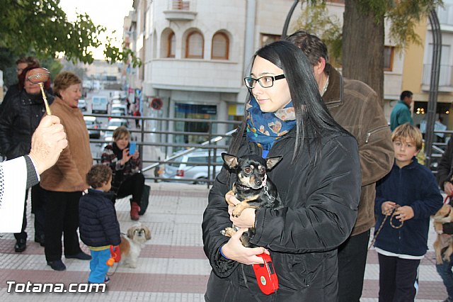 Los animales recibieron la bendicin en el da de su patrn, San Antn Abad - 2014 - 184
