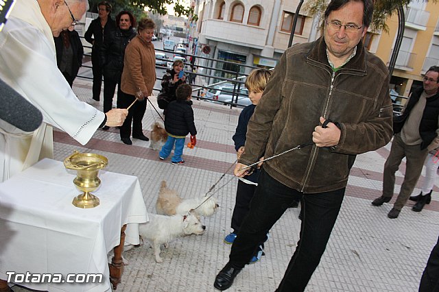 Los animales recibieron la bendicin en el da de su patrn, San Antn Abad - 2014 - 185