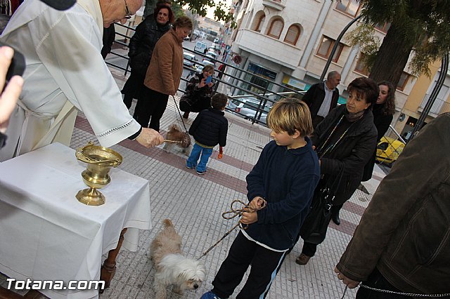 Los animales recibieron la bendicin en el da de su patrn, San Antn Abad - 2014 - 186