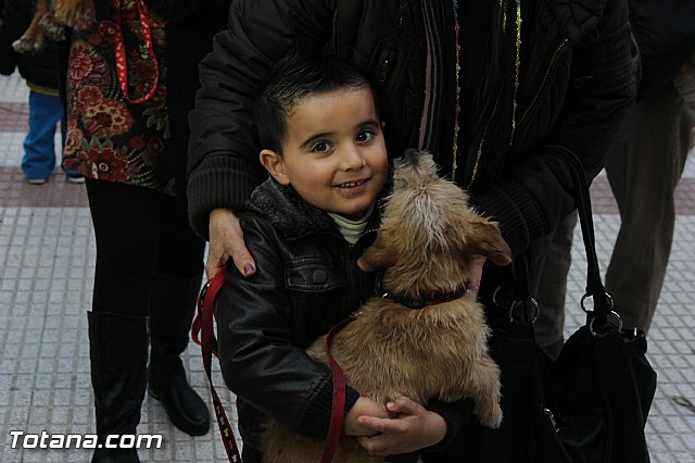 Los animales recibieron la bendicin en el da de su patrn, San Antn Abad - 2014 - 188