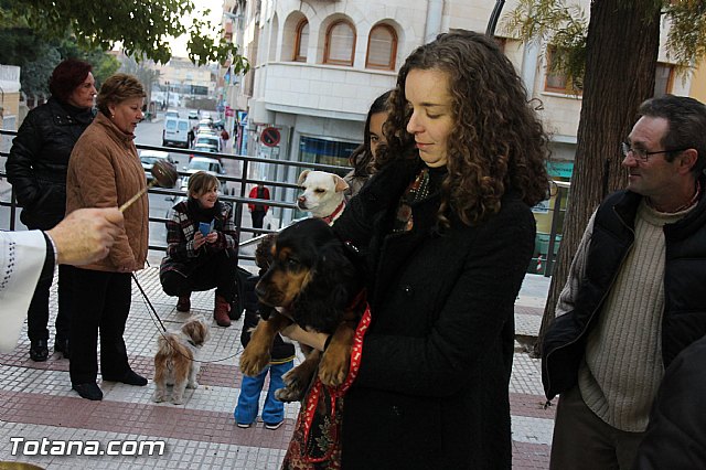 Los animales recibieron la bendicin en el da de su patrn, San Antn Abad - 2014 - 189