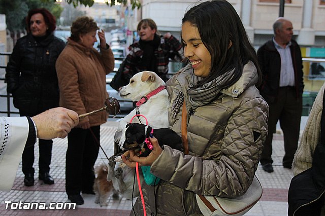 Los animales recibieron la bendicin en el da de su patrn, San Antn Abad - 2014 - 190