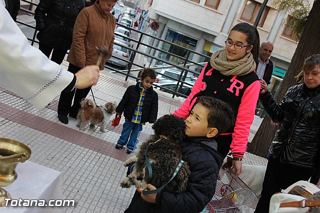 Los animales recibieron la bendicin en el da de su patrn, San Antn Abad - 2014 - 191