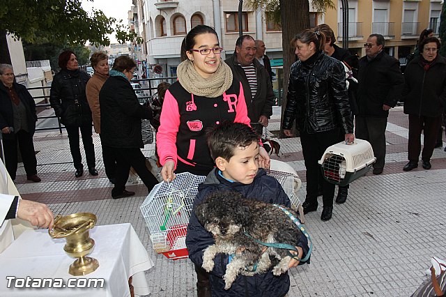 Los animales recibieron la bendicin en el da de su patrn, San Antn Abad - 2014 - 192