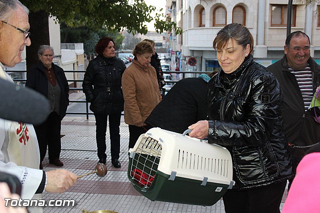 Los animales recibieron la bendicin en el da de su patrn, San Antn Abad - 2014 - 193