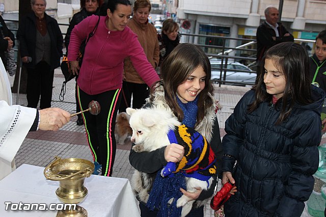 Los animales recibieron la bendicin en el da de su patrn, San Antn Abad - 2014 - 197