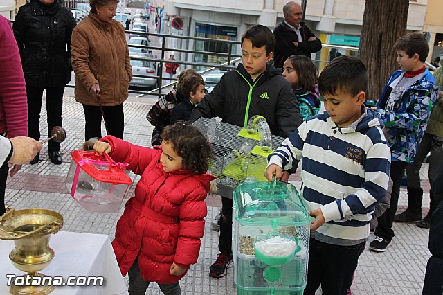 Los animales recibieron la bendicin en el da de su patrn, San Antn Abad - 2014 - 198